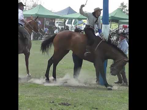 Monta en clina SOPLO PA AFUERA en Nelson Santa Fe