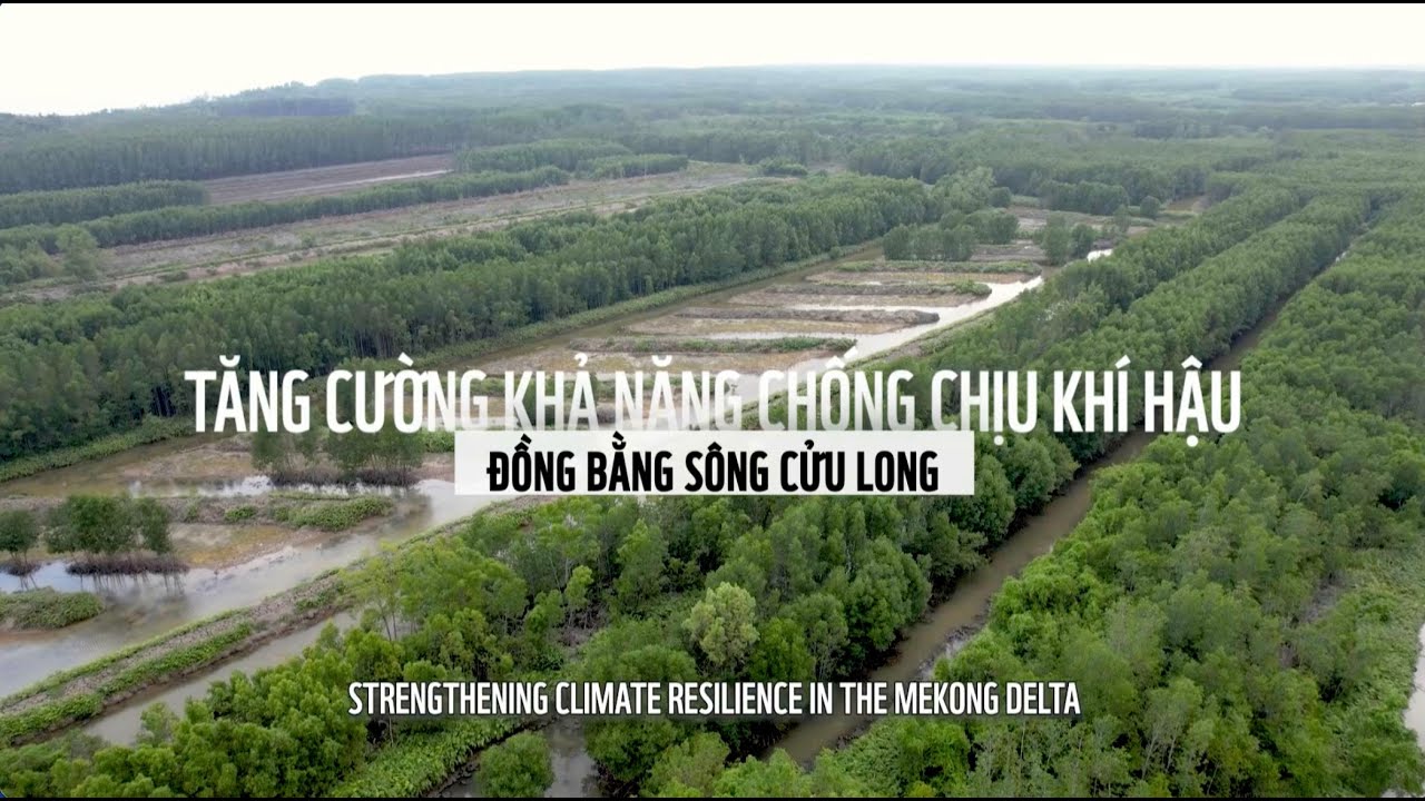 Tăng cường khả năng chống chịu khí hậu ở đồng bằng sông Cửu Long