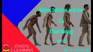 ST KIZITO SS BUGOLOBI 6 Natural Selection in Action part 2