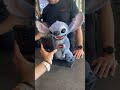Just Rolled Up To See Thunderbolts And Got Hit With This Surprise Stitch Scanning Tickets