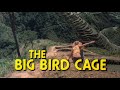 The Big Bird Cage Opening Shot