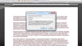 How to Unprotect Your Microsoft Word 2007 Document : Microsoft Word Basics
