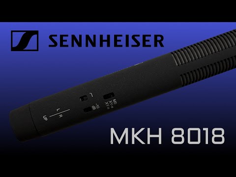 Sennheiser MKH 8018 Stereo Shotgun Microphone Review