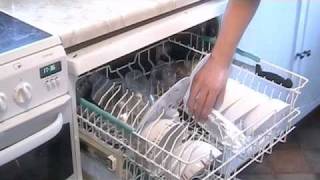 Salmon in a Dishwasher