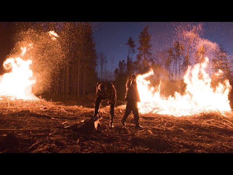 Video thumbnail for Bonaparte