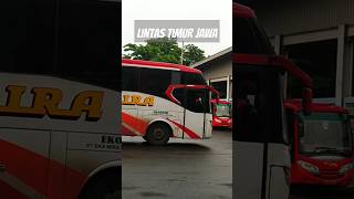 Download lagu BUS MIRA DAN BUS EKA CEPAT BERKEJARAN, LINTAS SOLO TIMUR #bismira #ekacepat #ekamira #busjatim mp3