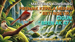Download lagu Masteran Kombinasi Prenjak Kepala Merah Sambung Cigun Jeda Air Mengalir 1 Menit mp3 Download lagu Masteran Kombinasi Prenjak Kepala Merah Sambung Cigun Jeda Air Mengalir 1 Menit mp3