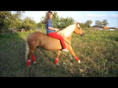 jazda na cordeo, skoki i sztuczka : )