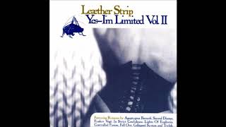 Leaether Strip - Life is Painful (Bastard) (In Strict Confidence Remix)