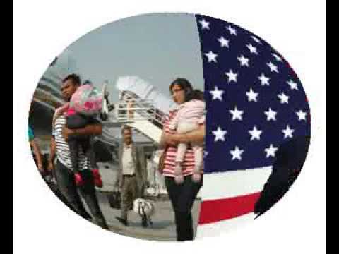 Indian techies are daring not to leave the US