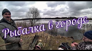 Ссылка
