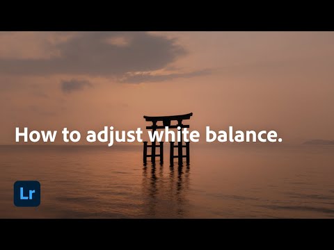A Beginner's Guide to White Balance | Adobe Photography Basics