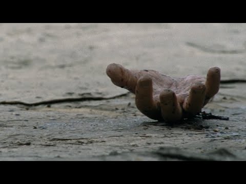 The Walking Dead - Season 1 OST - 1.03 - 06: The Hand