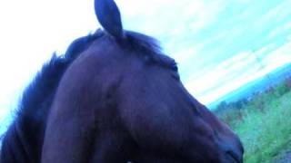 Jumanji; Some how everything's gonna fall right in to place [EndOf09]