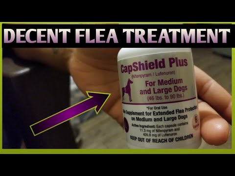 download lagu mp3 mp4 Capshield Plus Reviews, download lagu Capshield Plus Reviews gratis, unduh video klip Capshield Plus Reviews