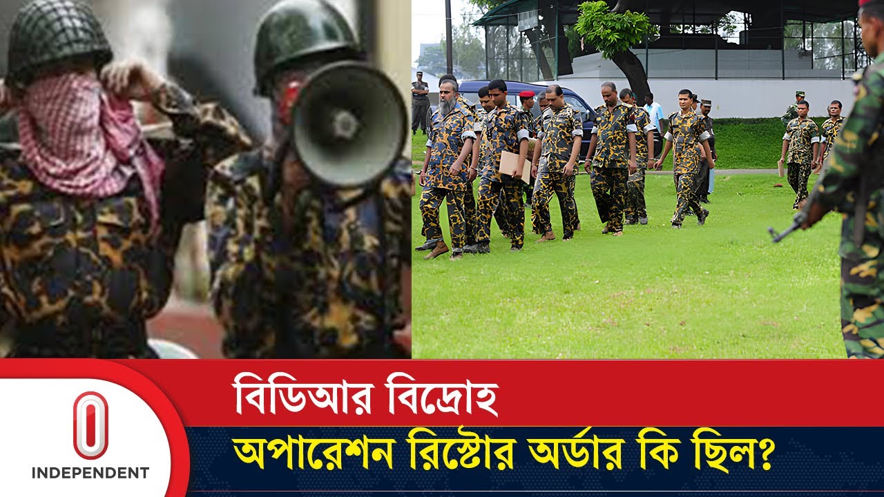 বিডিআর বিদ্রোহ: স্বরাষ্ট্র উপদেষ্টাকে যে অনুরোধ করলেন মইন ইউ আহমেদ | BDR | Independent TV