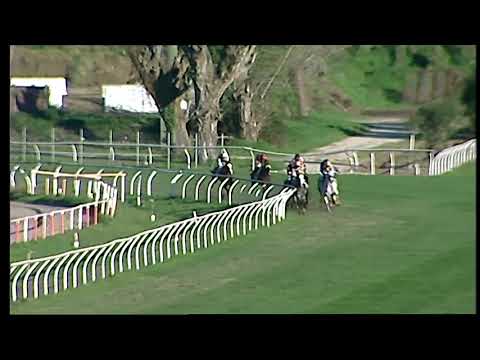 Galoppo 14/12/2020 - 4ª corsa