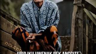 Download lagu Story wa cak nun terbaru 2020 mp3