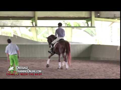 Prix St George, How to Keep the Cadence, FEI judge Cesar Torrente