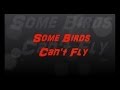 Some Birds Can't Fly 
