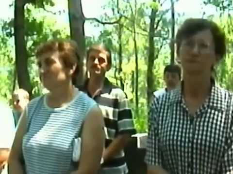 ŠKRLJEVITA, SV  ILIJA, 22. VII. 2006.