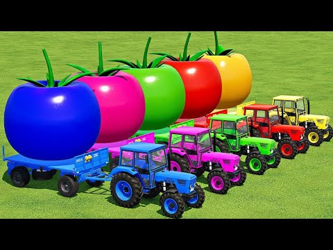 LOAD & TRANSPORT GIANT COLORED TOMATOES WITH MINI TRACTORS - Farming Simulator 22