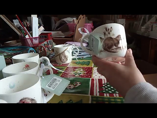 Royal Worcester Wrendale Designs Pug Love Mug & Coaster Set