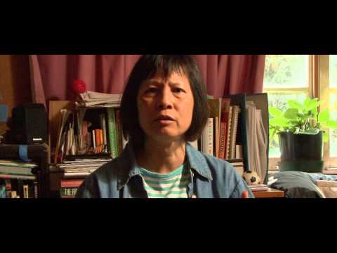 Rialto Channel - Daytime Tiger trailer