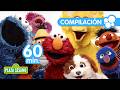 Plaza Sésamoo Juega Baila Y Diviértete Con Elmo Comegalletas Y Sus Amigos ️ EN VIVO ️