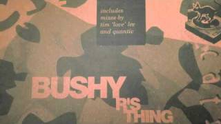 bushy - r's thing (tim 'love' lee mix)