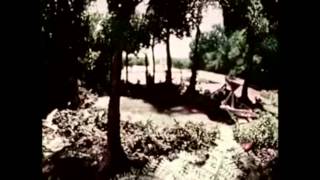 Waiting Around To Die - Short Film (2015)