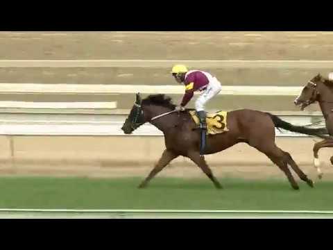 THIS TIME IT'S MORALIST! 27/11/17'