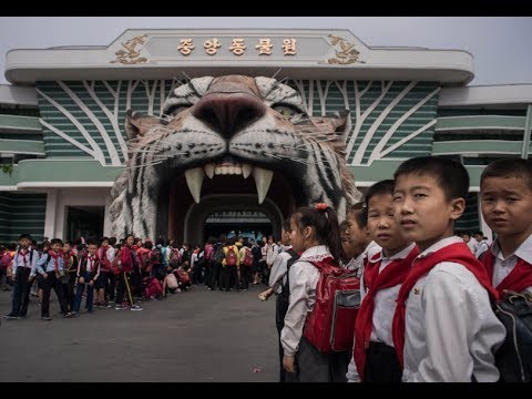 ESCAPING FROM NORTH KOREA 2017 NEWEST DOCUMENTARY DEFECTOR'S SEARCH FOR FREEDOM DOCUMENTARY