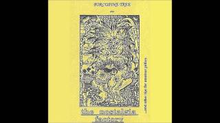 Porcupine Tree-Hokey Cokey