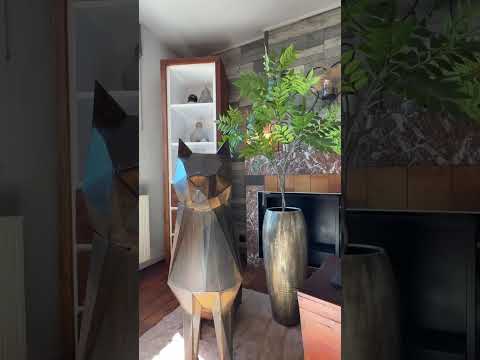 Vidéo