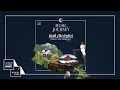 ยินดี Delight Pijika X The Parkinson Official Audio