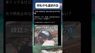 #高市早苗 #自民党 #税金 #政治