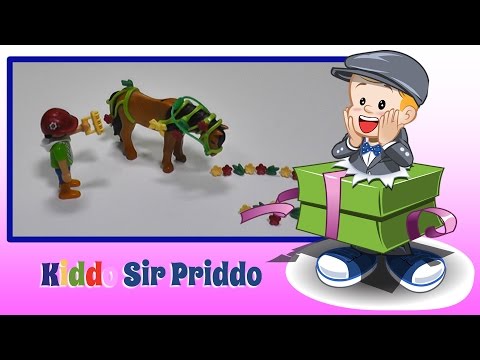 Playmobil Country Groomer with Bloom Pony Playset 6968 Unboxing and Playing