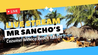 Cruising Addicts is Live from Mr. Sancho’s Beach Club in Cozumel Mexico