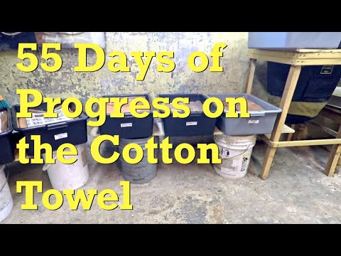 Cotton towel after 55 days in red wiggler worm bins - vermicompost