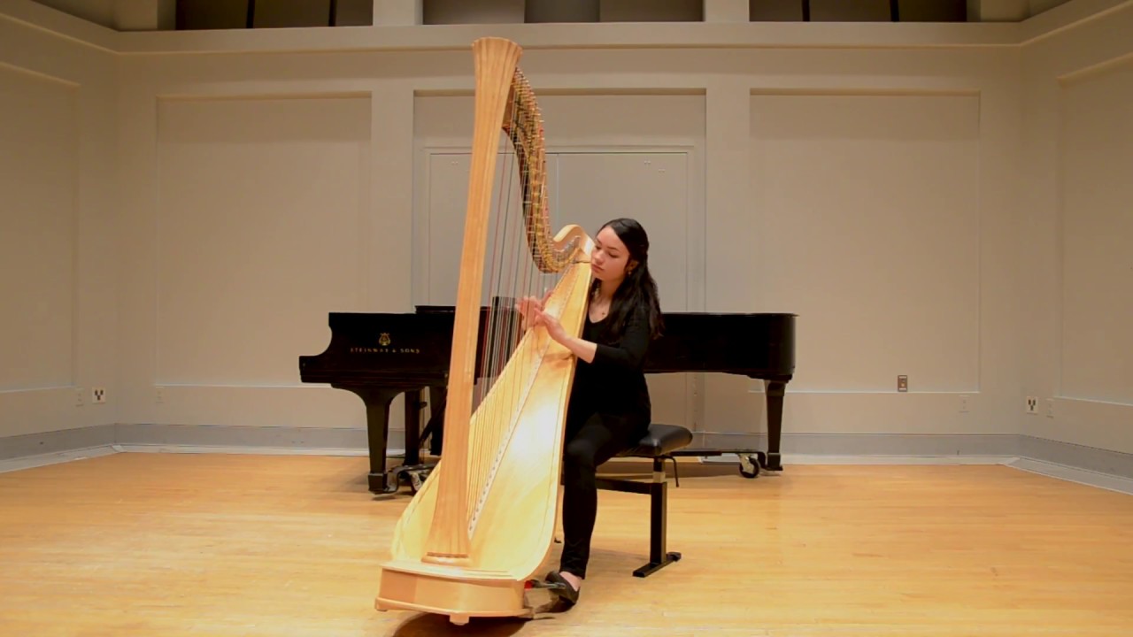 Promotional video thumbnail 3 for Kari Novilla - Harpist