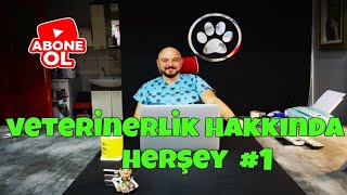 Veterinerlik ve Veteriner Hekimlik Hakkında ilginç Bilgiler / Bölüm 1