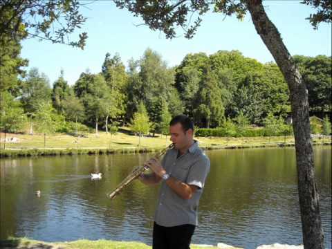 Pablo Estellés - Historia de un amor (Carlos Eleta Almarán)