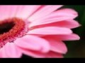 "Once or Twice" Dorothy Moore 70's (slow jam zone)