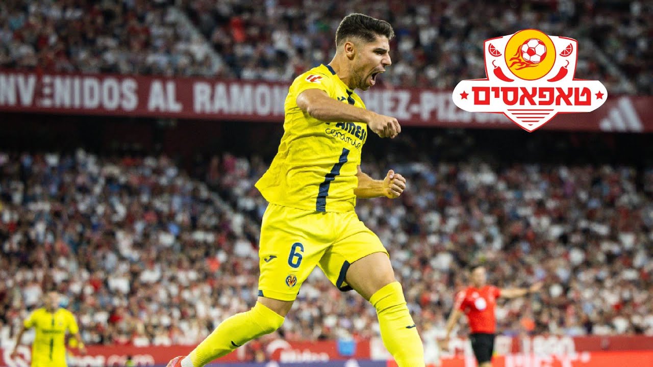 ולנו יש פלאפל! מנור השאיר לנו טעם לעוד