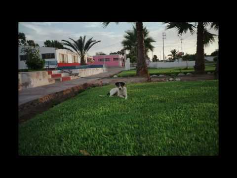 Joe Crepúsculo - Un demonio con piel de cordero