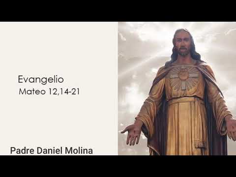 Evangelio según san Mateo 12, 14-21