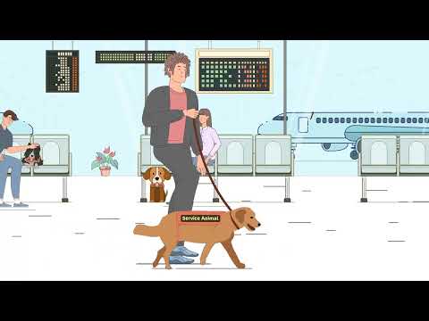 How to fly with your pet or Emotional Support Animal? - Travelling with an ESA