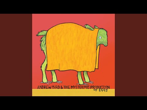 Fake Palindromes - Andrew Bird