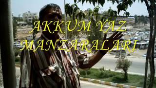 AKKUM YAZ TATİLİ GÖRÜNTÜLERİ 2007 , AKKUM SİLİFKE MERSİN , AKKUM PLAJI MERSİN